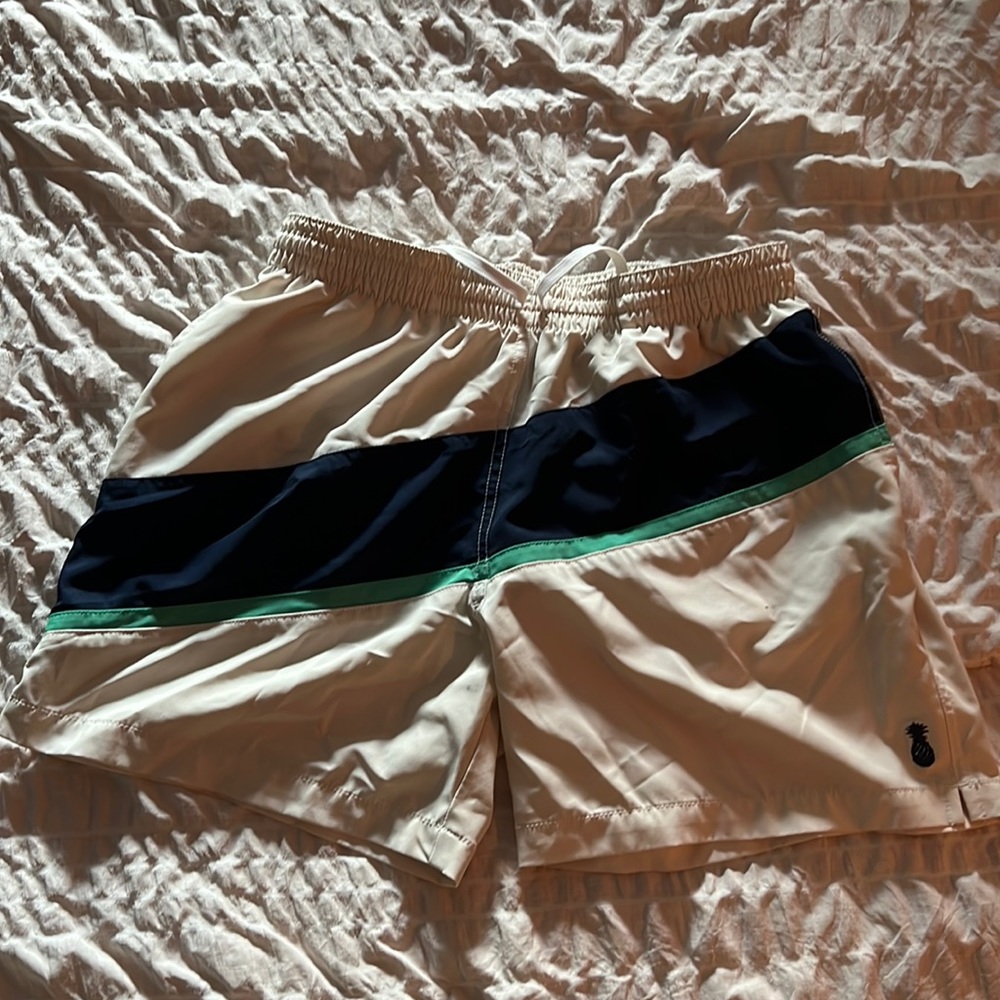 Chubbies 5” Swim Trunks